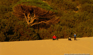 Sentados en lo alto de la duna después de una buena subida