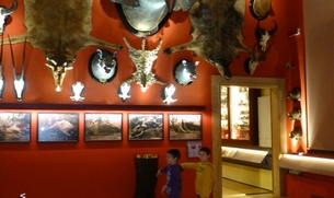 Museo de historia natural
