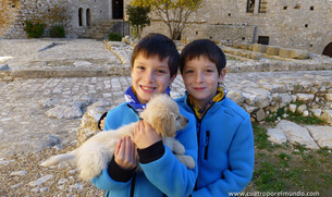 Los pekes con el cachorrillo blanco