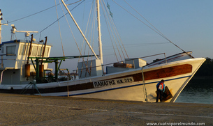 Curioseando en los barcos del puerto