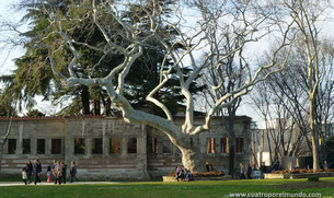 Jardines antes de entrar a Topkapi