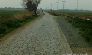 Pista de adoquines bastante bacheada