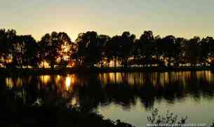 Arboleda junto al camping vista desde la carretra al atardecer