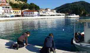 Los pekes mirando los peces y con ganas de tirarse al agua